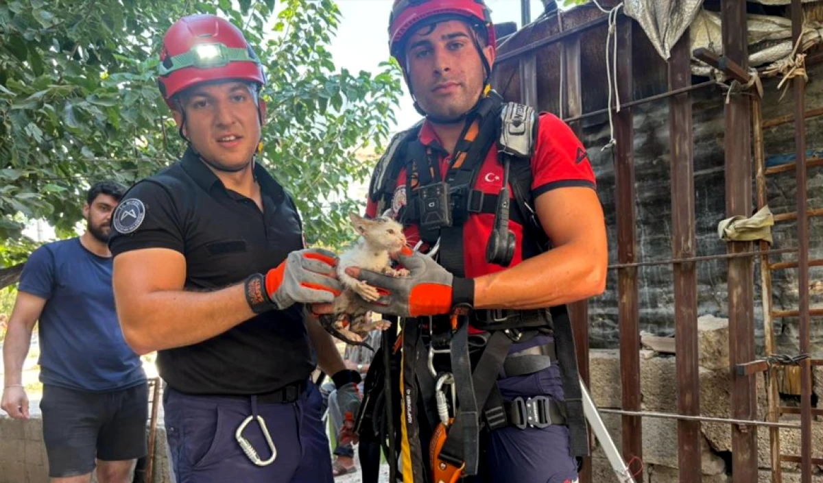 20 metrelik kuyuya düşen yavru kedi kurtarıldı