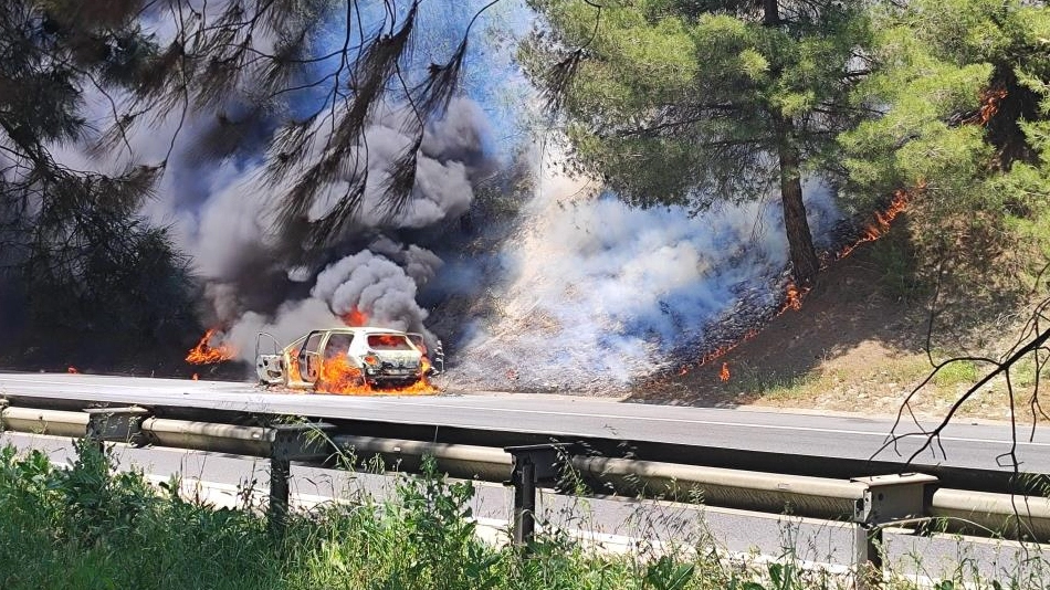 Araçta çıkan yangın ormana sıçradı