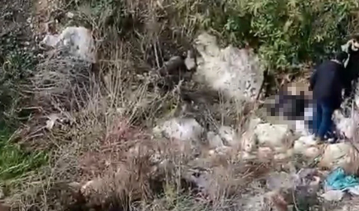 Balıkesir'den kayıp olarak aranan şahsın cesedi Mersin'de bulundu