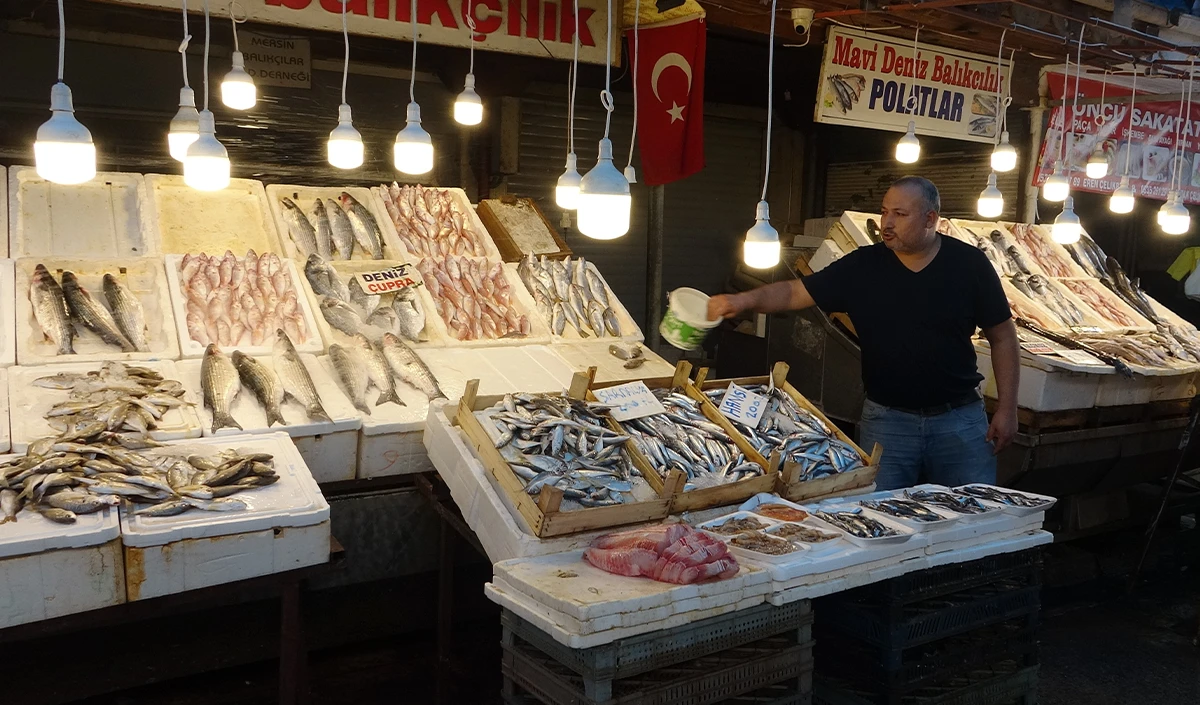 Balıkta bolluk yaşanıyor, fiyatlar kasım sonuna kadar uygun