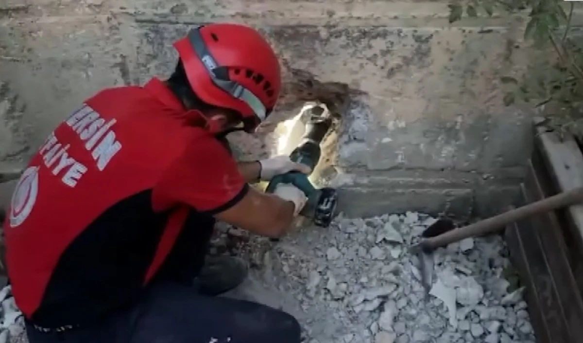 Beton blok arasında sıkışan yavru kediyi itfaiye ekipleri kurtardı