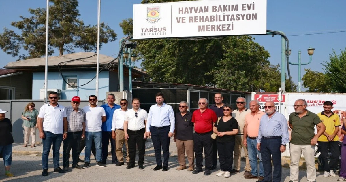 Boltaç, 