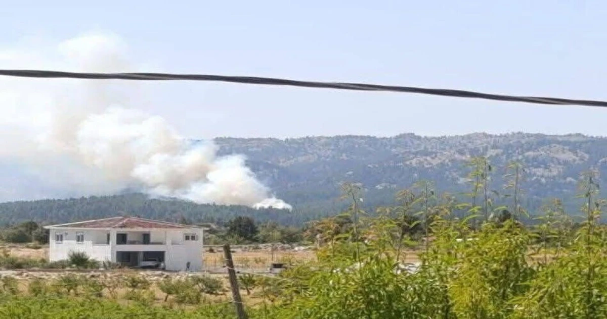 Bozyazı'da orman yangını