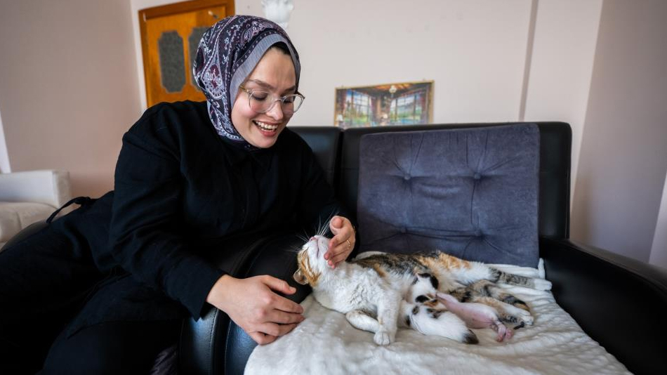 Camiye sığınan kedi ve yavruları yeni yuvasına kavuştu