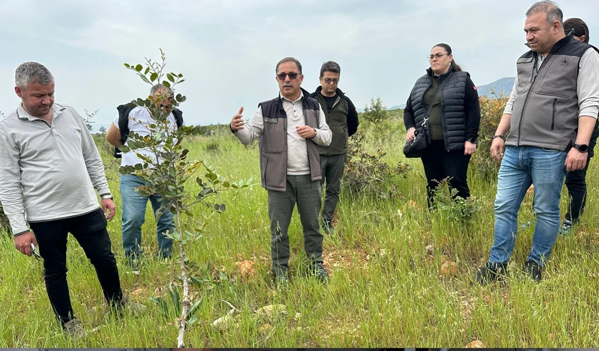 Erozyonla m&uuml;cadelede uygulamalı eğitim