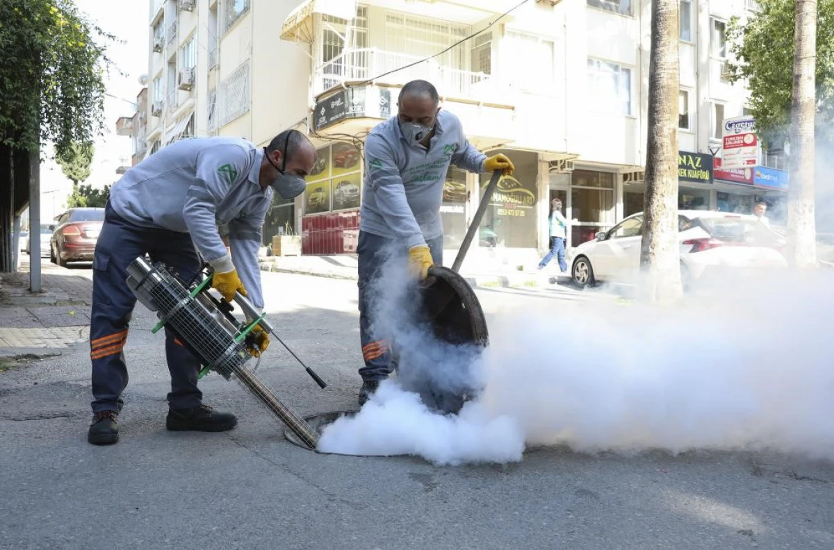 Mersin B&uuml;y&uuml;kşehir Belediyesi kent genelinde haşereyle m&uuml;cadeleyi s&uuml;rd&uuml;r&uuml;yor