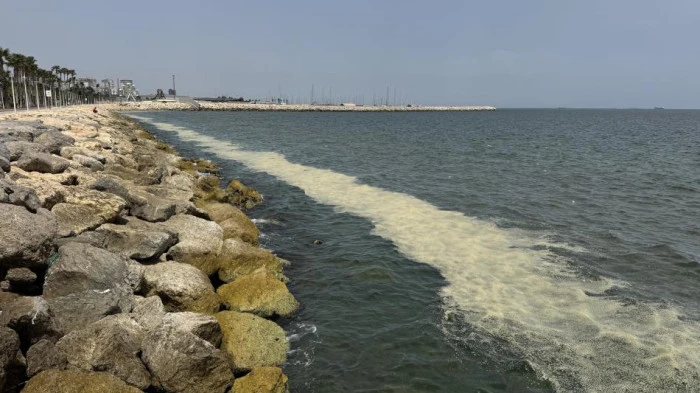 Mersin Körfezi'nde 'alg patlaması ve müsilaj kalıntıları'