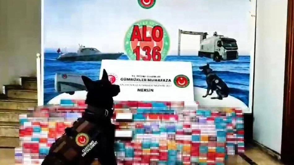 Mersin Limanı'nda 2.5 milyon TL değerinde kaçak elektronik sigara tütünü ele geçirildi