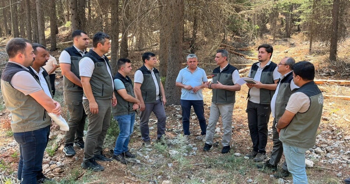 Mersin Orman Bölge Müdürü Gülnar'daki sahalarda incelemelerde bulundu