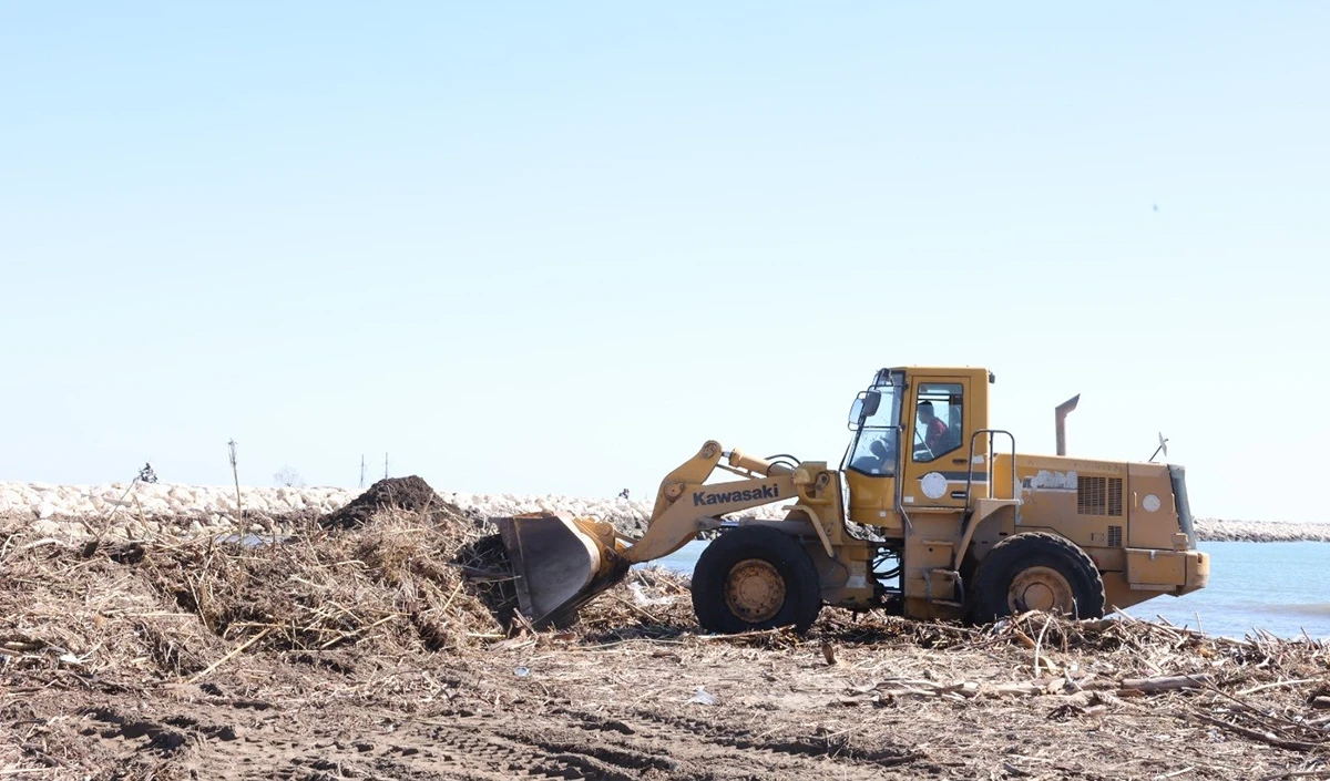  Mersin sahillerinde selin denize taşıdığı bal&ccedil;ıklar temizleniyor