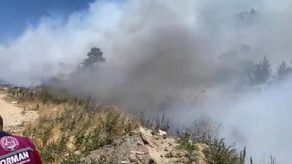 Mersin'de 2 ilçede orman yangını