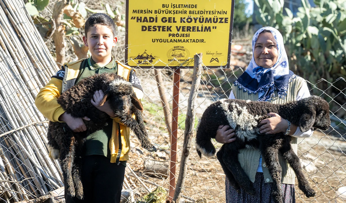  Mersin'de 360 yetiştiriciye 9 bin k&uuml;&ccedil;&uuml;kbaş desteği