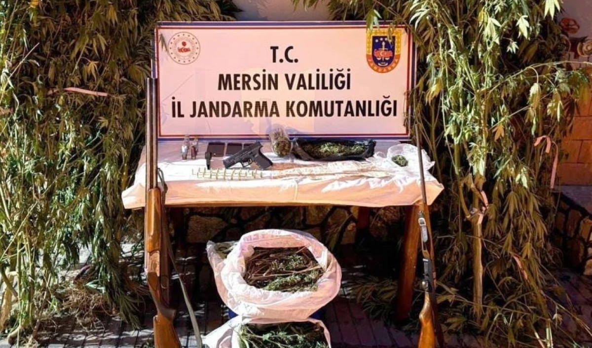 Mersin'de bahçelerine kenevir eken 3 şüpheli yakalandı