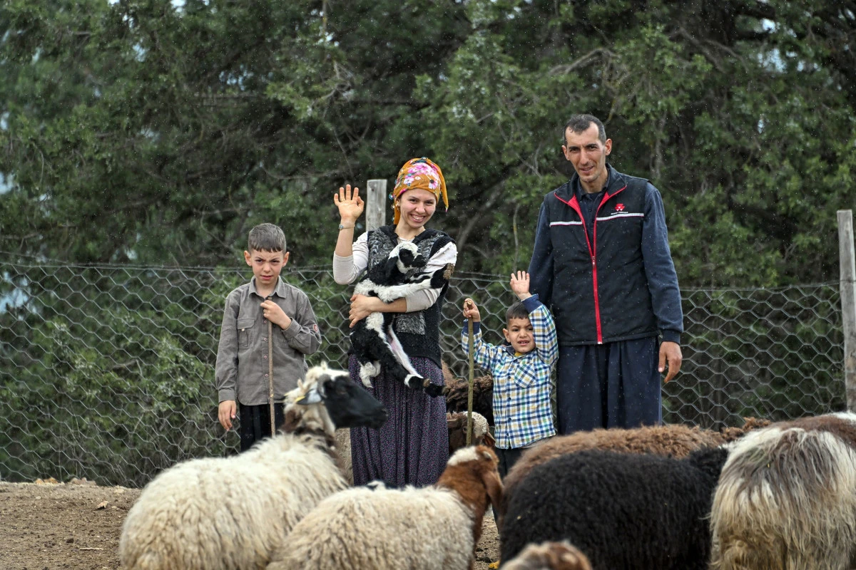 Mersin'de bir koyun alamayan aile s&uuml;r&uuml; sahibi oldu