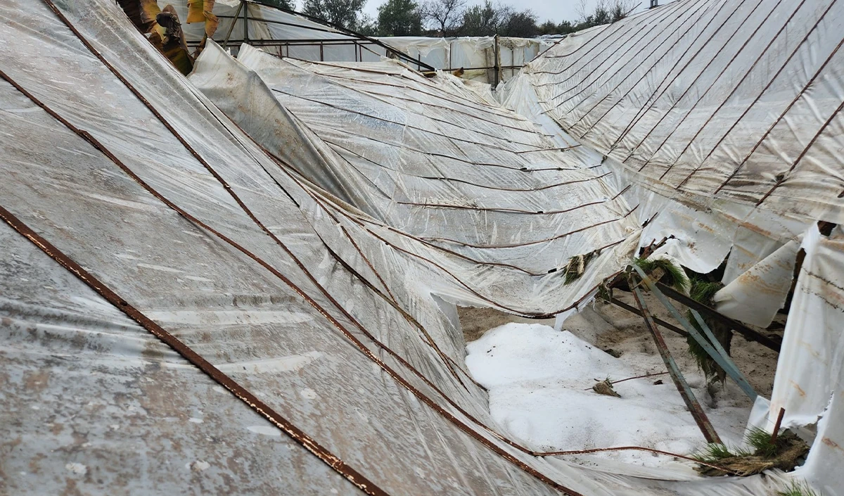 Mersin'de dolu sera &ccedil;&ouml;kertti, bah&ccedil;elere zarar verdi