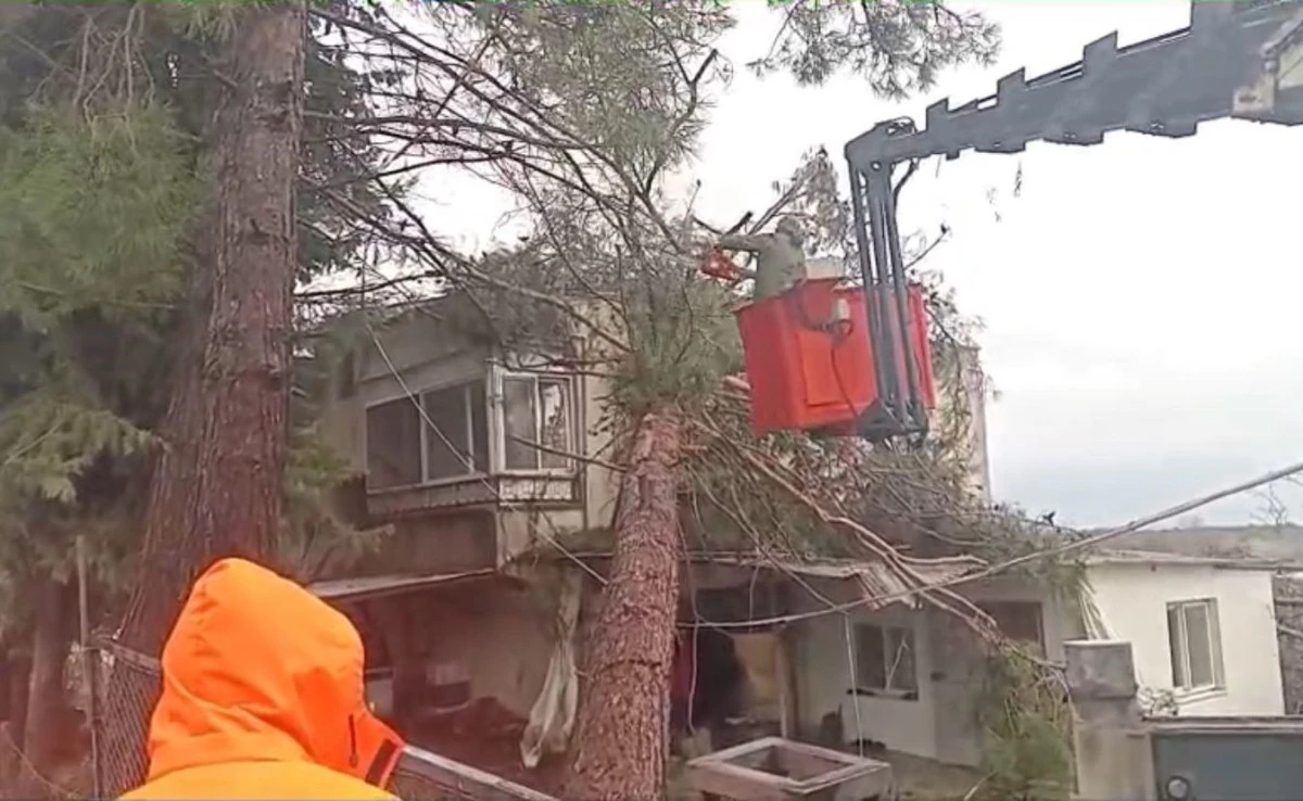 Mersin'de fırtına etkili oluyor: Ağa&ccedil; evin &uuml;zerine devrildi