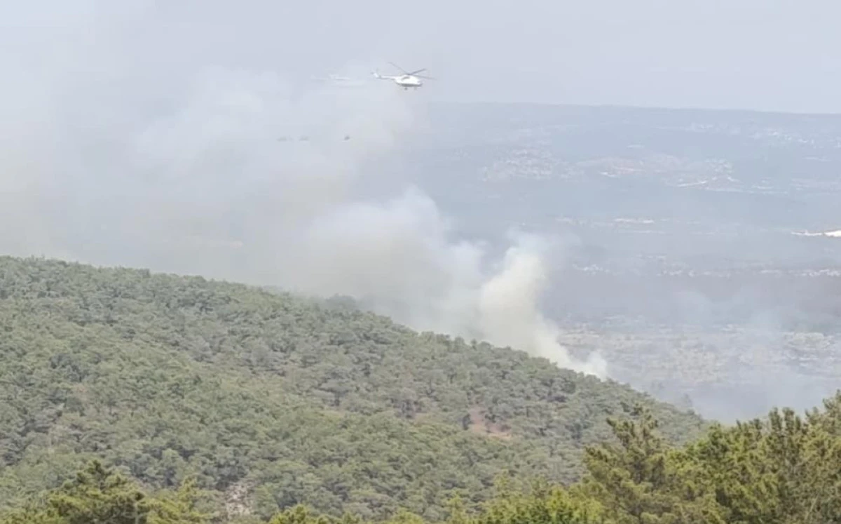 Mersin'de kaynak yaparken orman yangınına neden olan firma sahibi ile 4 kişi tutuklandı