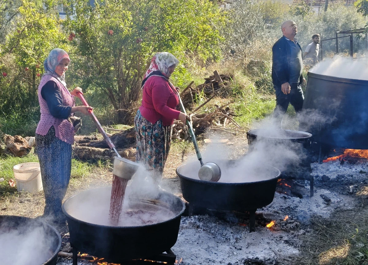 Mersin'de kazanlar kuruldu, Y&ouml;r&uuml;klerin nar ekşisi mesaisi başladı