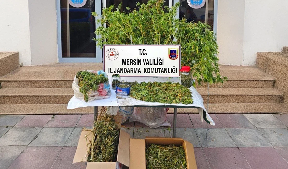 Mersin'de kenevir ekip uyuşturucu üreten şüpheli tutuklandı