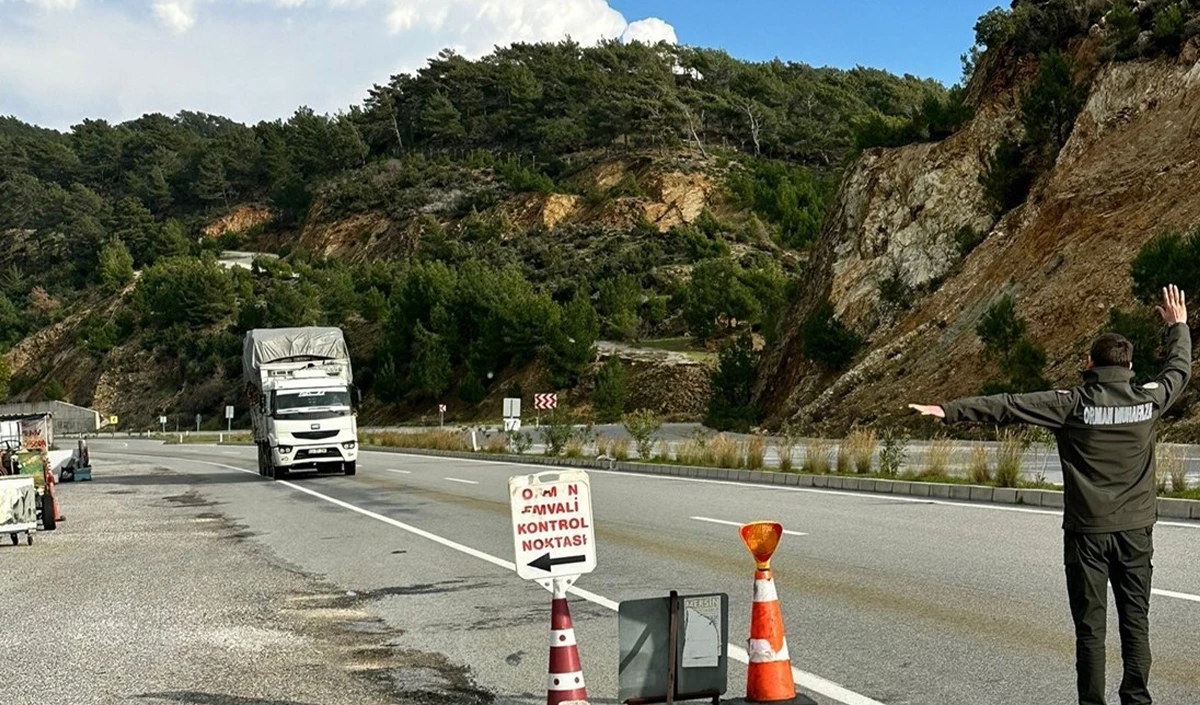 Mersin&rsquo;de orman su&ccedil;larına eş zamanlı denetim