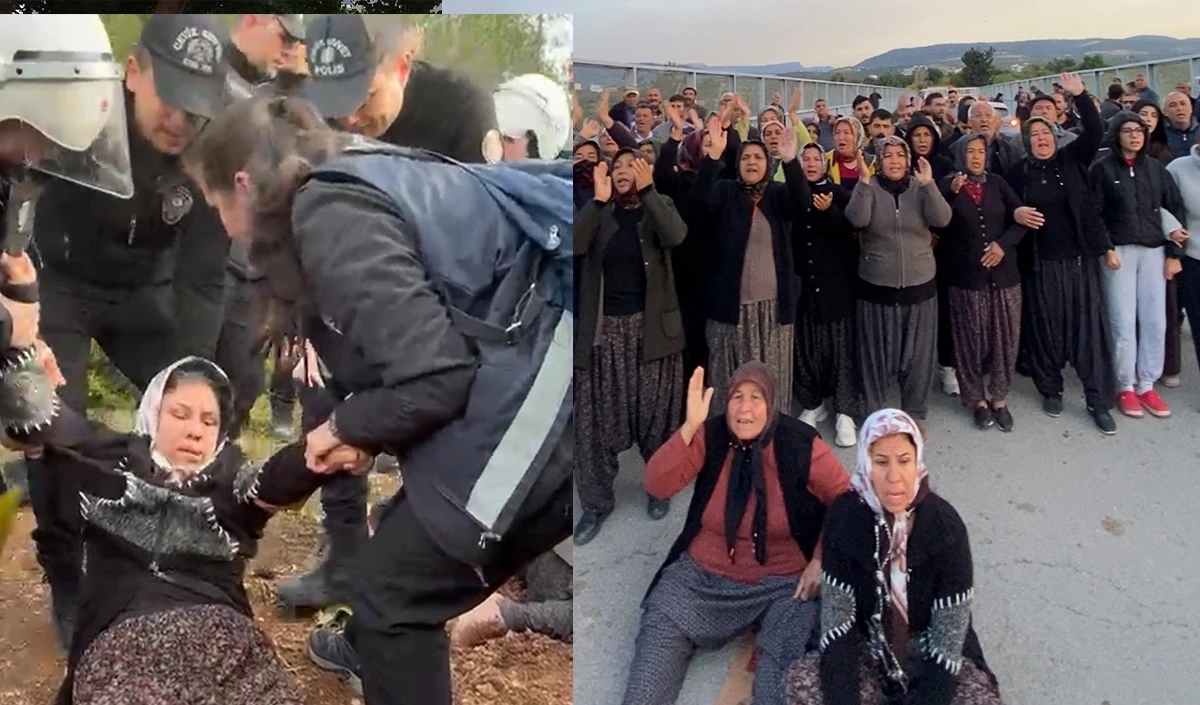 Mersin'de ormanlık alana ekili narenciye bah&ccedil;elerinin kaldırılması kararına tepki