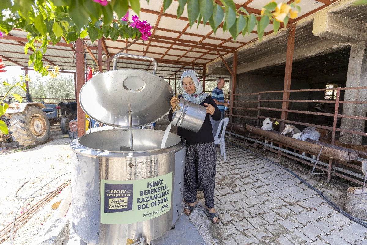 Mersin&rsquo;de &uuml;reticiye y&uuml;zde 50 hibeli s&uuml;t soğutma tankı desteği