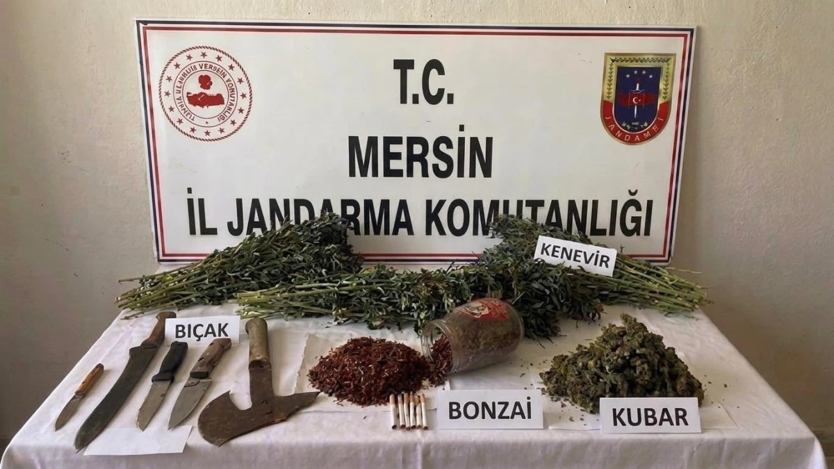 Mersin'de uyuşturucu operasyonu: 1 tutuklama