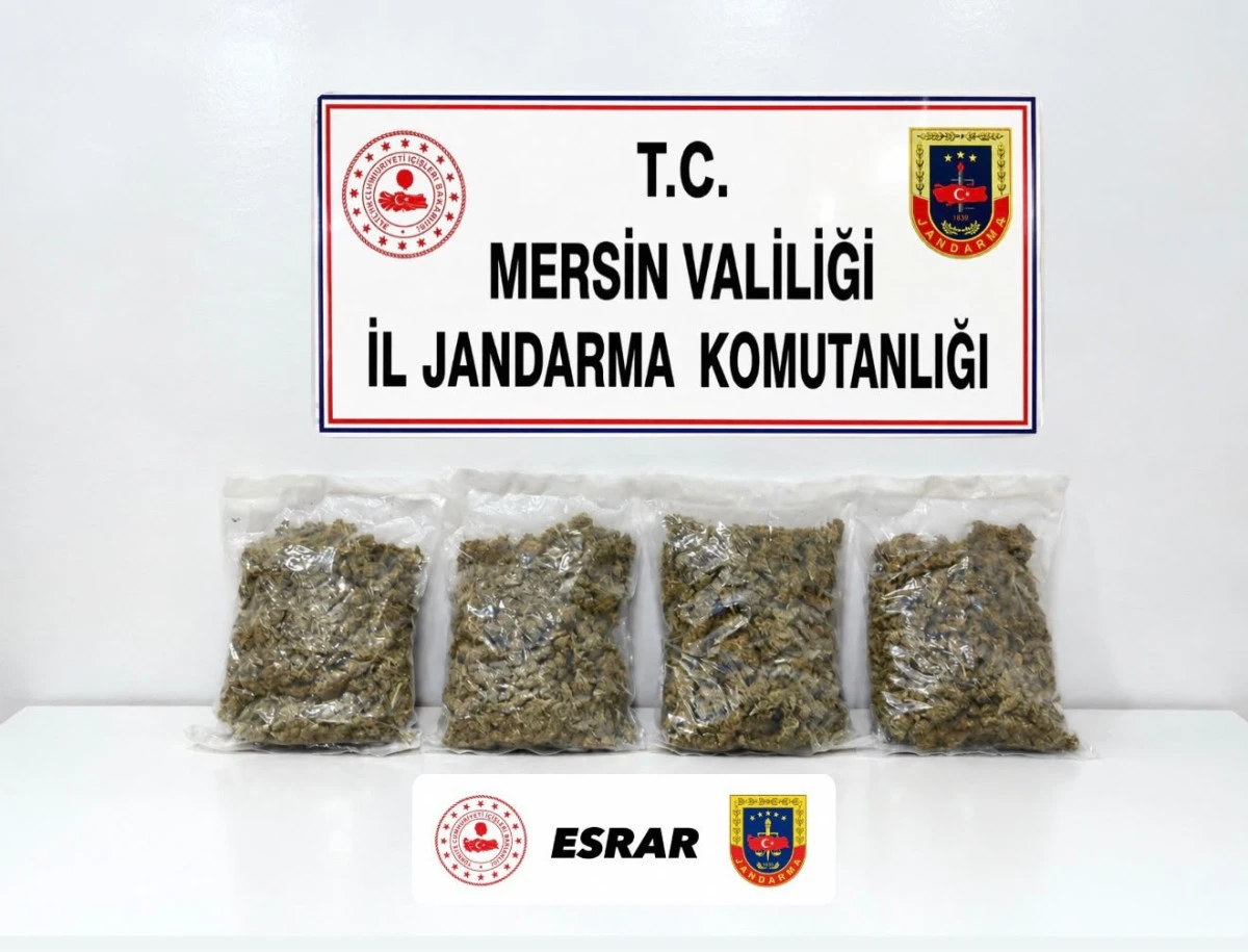 Mersin'de uyuşturucu operasyonu: 2 g&ouml;zaltı