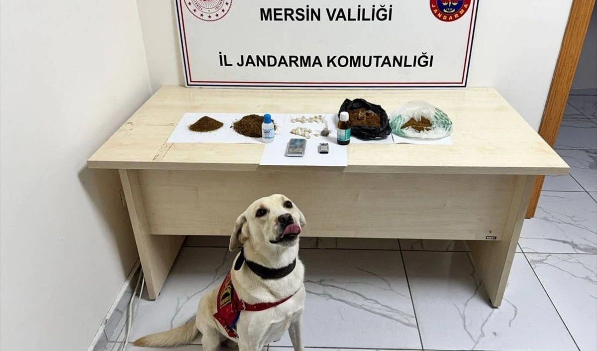 Mersin'de uyuşturucu operasyonu: 5 şüpheli tutuklandı