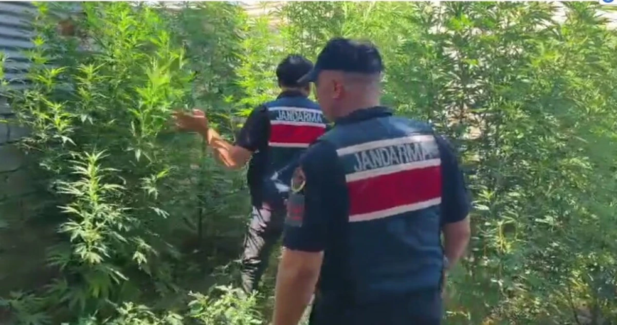 Mersin'de uyuşturucu operasyonu: 8 gözaltı