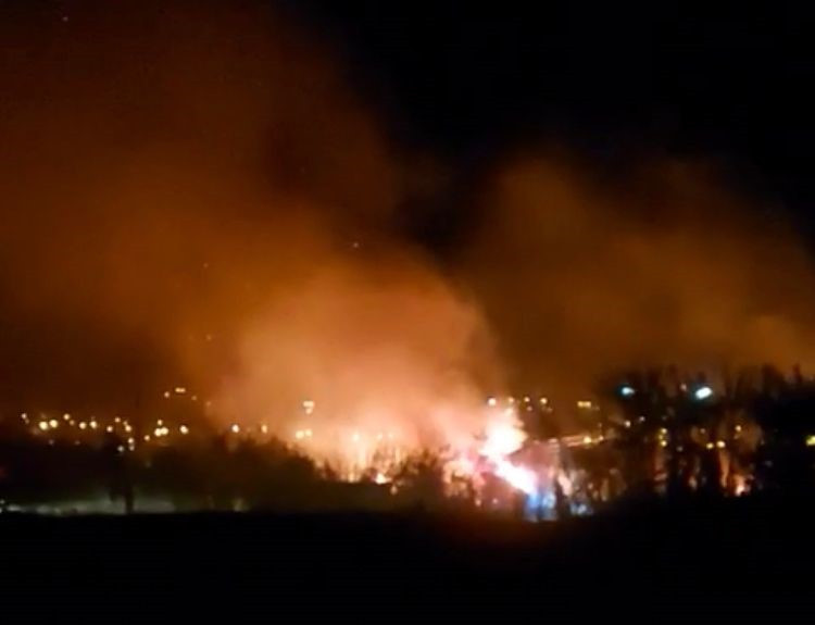 Mersin'de yangın yerleşim yerlerine ulaşmadan söndürüldü