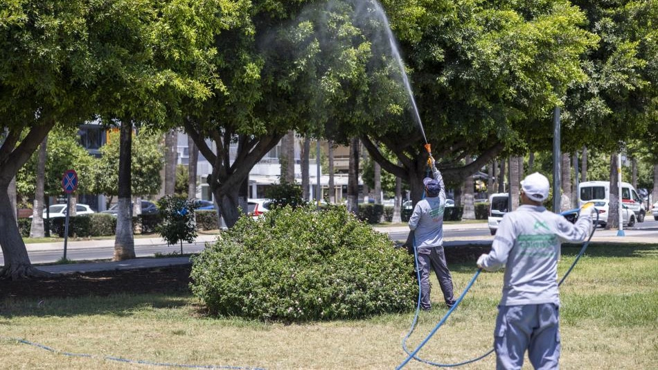 Mersin'de yaz boyunca kesintisiz ilaçlama