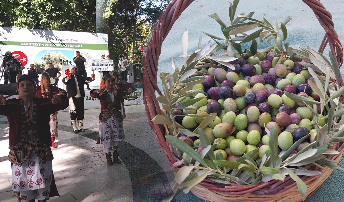Mut Zeytin ve Zeytinyağı Festivali başladı