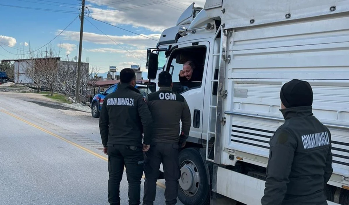 Mut&rsquo;ta orman su&ccedil;larına y&ouml;nelik &ouml;nleme araması yapıldı