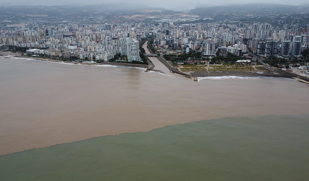 Sel sonrası deniz kahverengi oldu, sahiller odun doldu