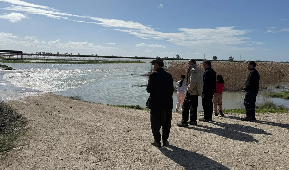 Seyhan Nehri taştı, Tarsus'ta tarım arazileri sular altında kaldı