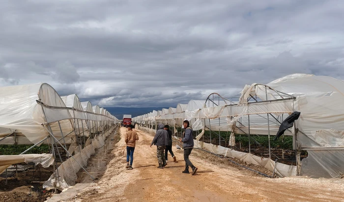 Silifke&rsquo;de hortum seraları yerle bir etti