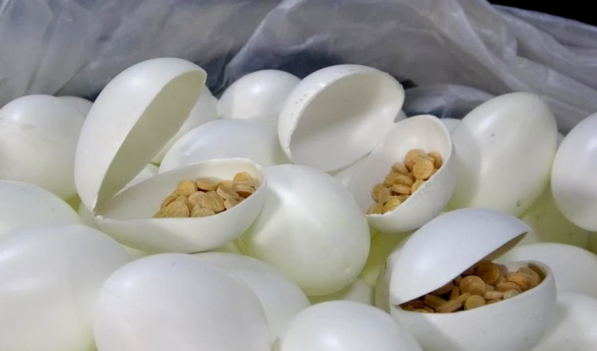Sürpriz yumurtalardan uyuşturucu çıkmıştı: 6 şüpheli tutuklandı