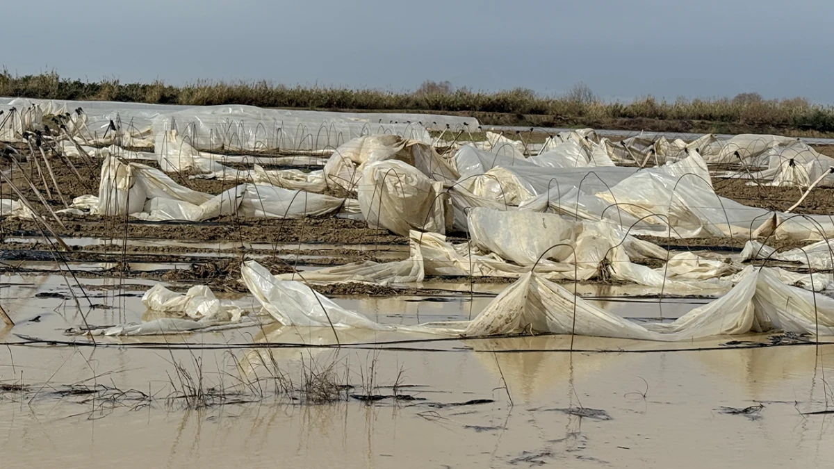 Tarsus&rsquo;ta yağmur ve fırtına etkili oldu, seralar zarar g&ouml;rd&uuml;