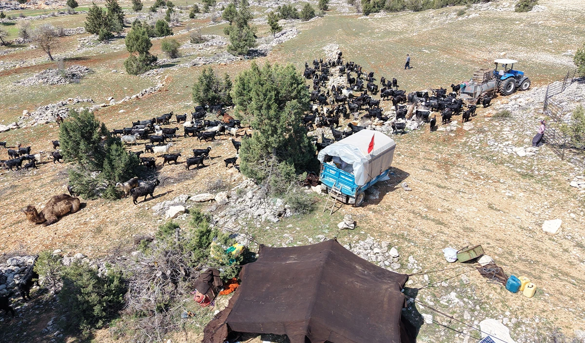 Toroslar'da Y&ouml;r&uuml;k g&ouml;&ccedil;&uuml; başladı: Sarıke&ccedil;ililer yayla yolunda