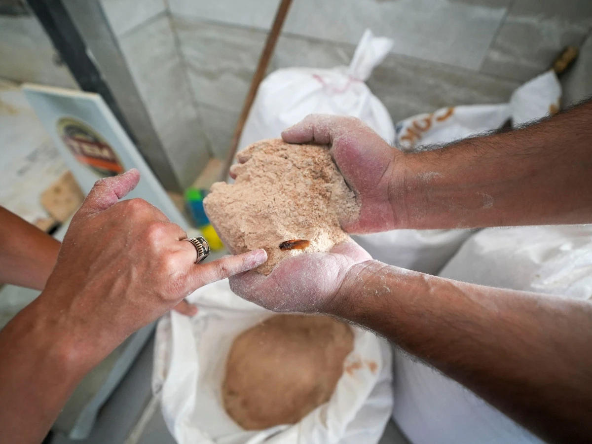 Un fabrikasında şoke eden g&ouml;r&uuml;nt&uuml;: 30 ton b&ouml;ceklenmiş bozuk un ele ge&ccedil;irildi