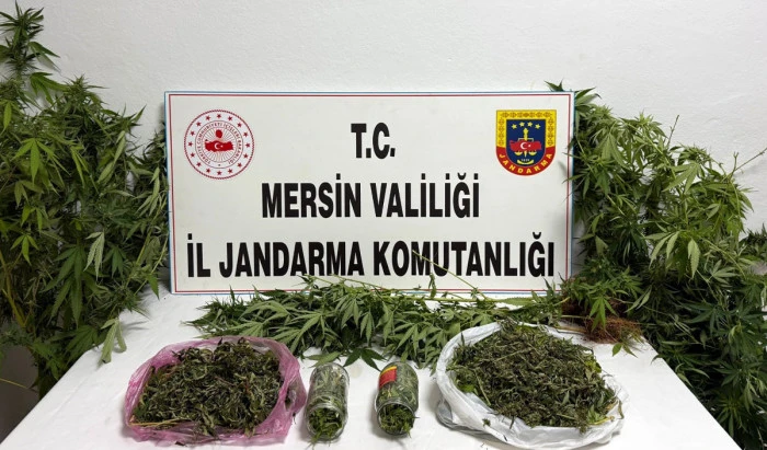 Uyuşturucuyu saksılara ekip evinin çevresine yerleştirmiş